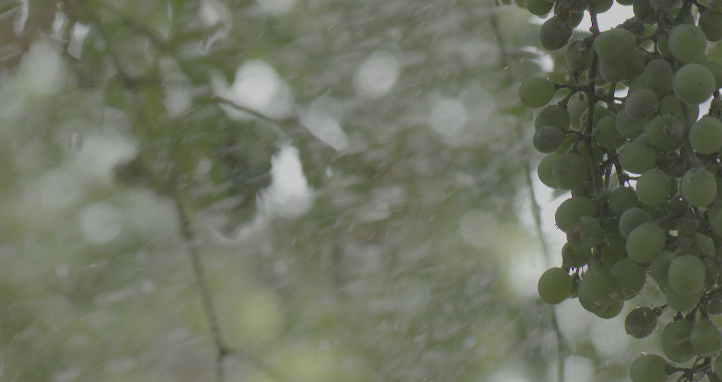 Sony F55 RAW Slowmo