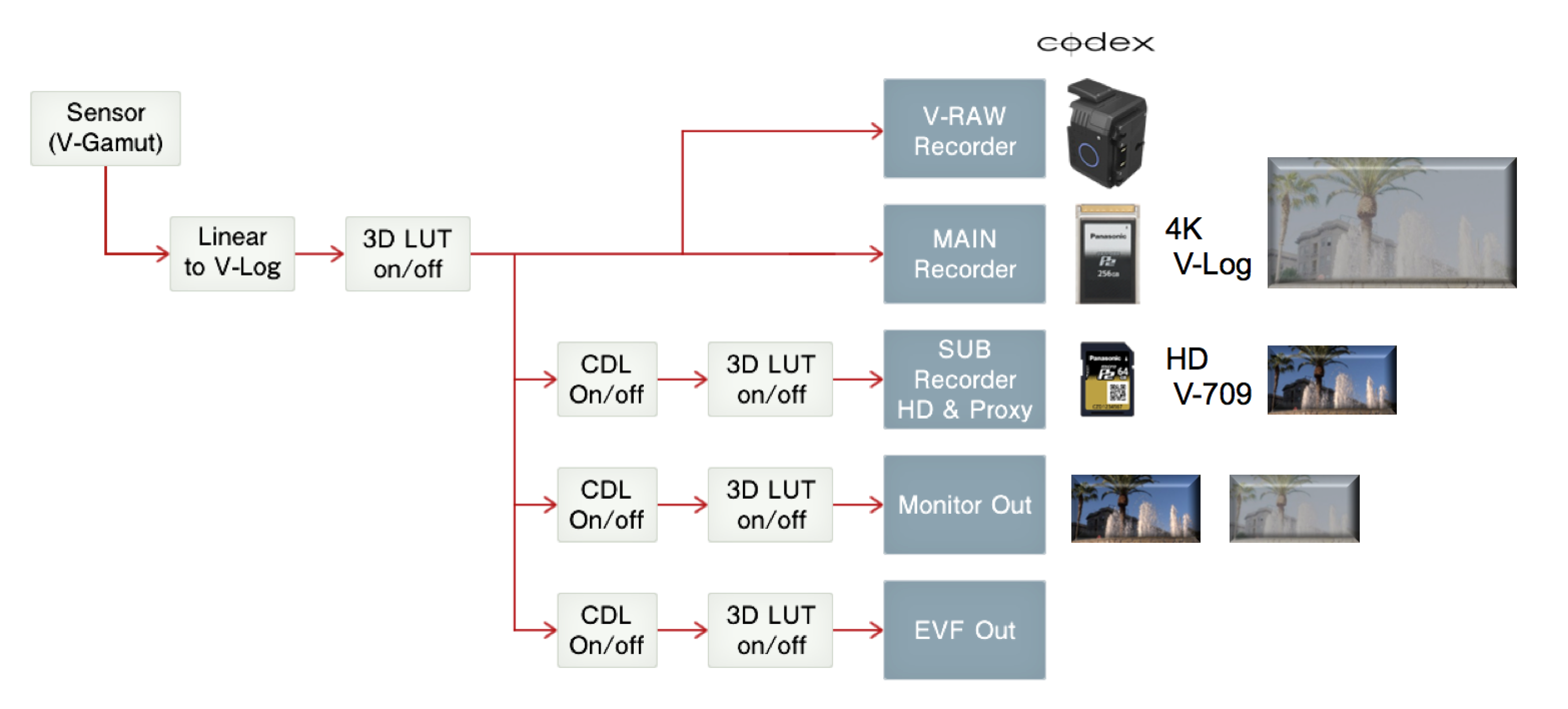 Varicam codecs