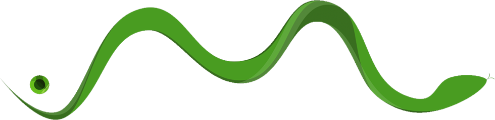 mamba