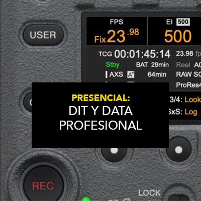 Curso Presencial DIT y Data Profesional